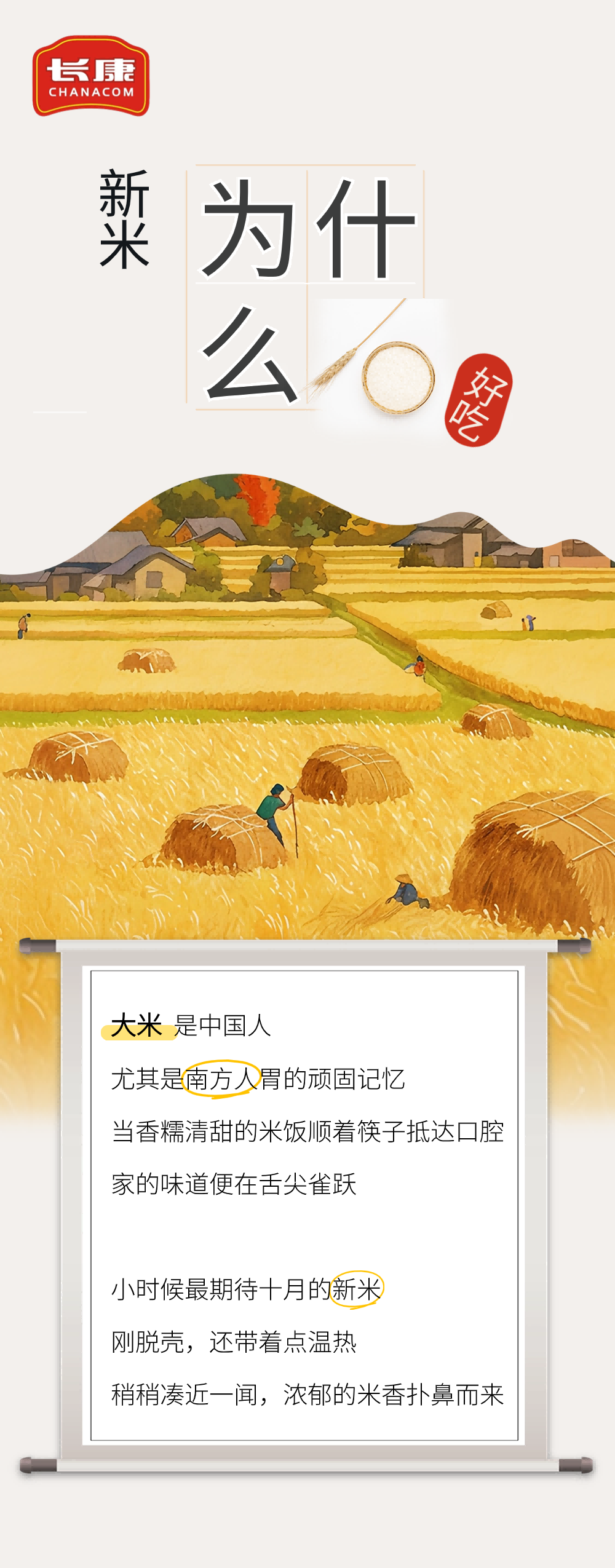 長康科普｜“稻”時候了！為什么說新米更好吃？